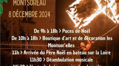 PETITES CITES D ANJOU EN LUMIERE 2024 - 13 - @LR