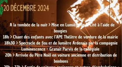 PETITES CITES D ANJOU EN LUMIERE 2024 - 19 - @LR