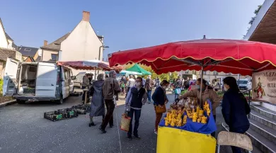 Marché d'Evron - © sparadra53