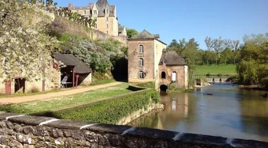 PROD53 Moulin de Thévalles_1 - Thévalles