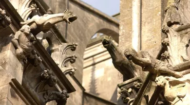 Ensemble de gargouilles de la Cathédrale Saint-Julien - Ville du Mans