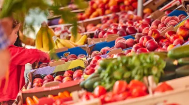 etal-legumes-marche-place-lafayette-angers-alexandre-lamoureux-2708085_3 - Alexandre Lamoureux - Destination Angers