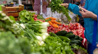 Marché du Jardin de Cocagne - ©mikola249