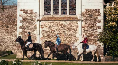 Le château lâche les chevaux !_Longuenée-en-Anjou_5 - ©Guillaume Gozard