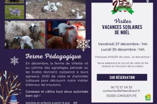 Publications Facebook - Visite spécial Agnelage - ©Villetteendirect