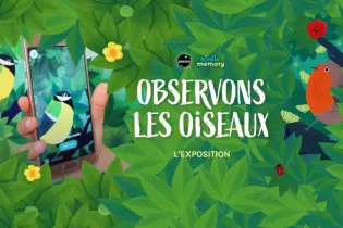 exposition interactive "Observons les oiseaux" - Grand Nord