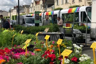 marché_1 - ©E. Henry / Ville d'Angers