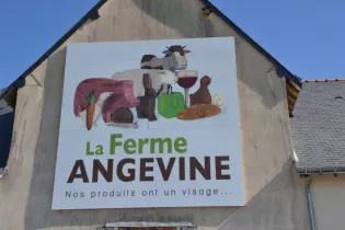 ferme-angevine-beaucouze-388600_1 - ©la-ferme-angevine