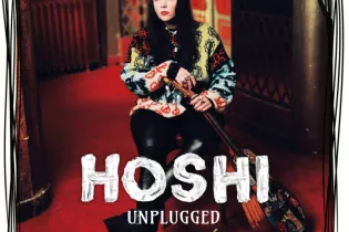 Concert : Hoshi : UNPLUGGED_Angers_1 - O SPECTACLE