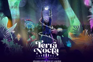 Terra Nocta_1 - Terra Botanica